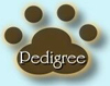 Pedigree Berger de Shetland Opale